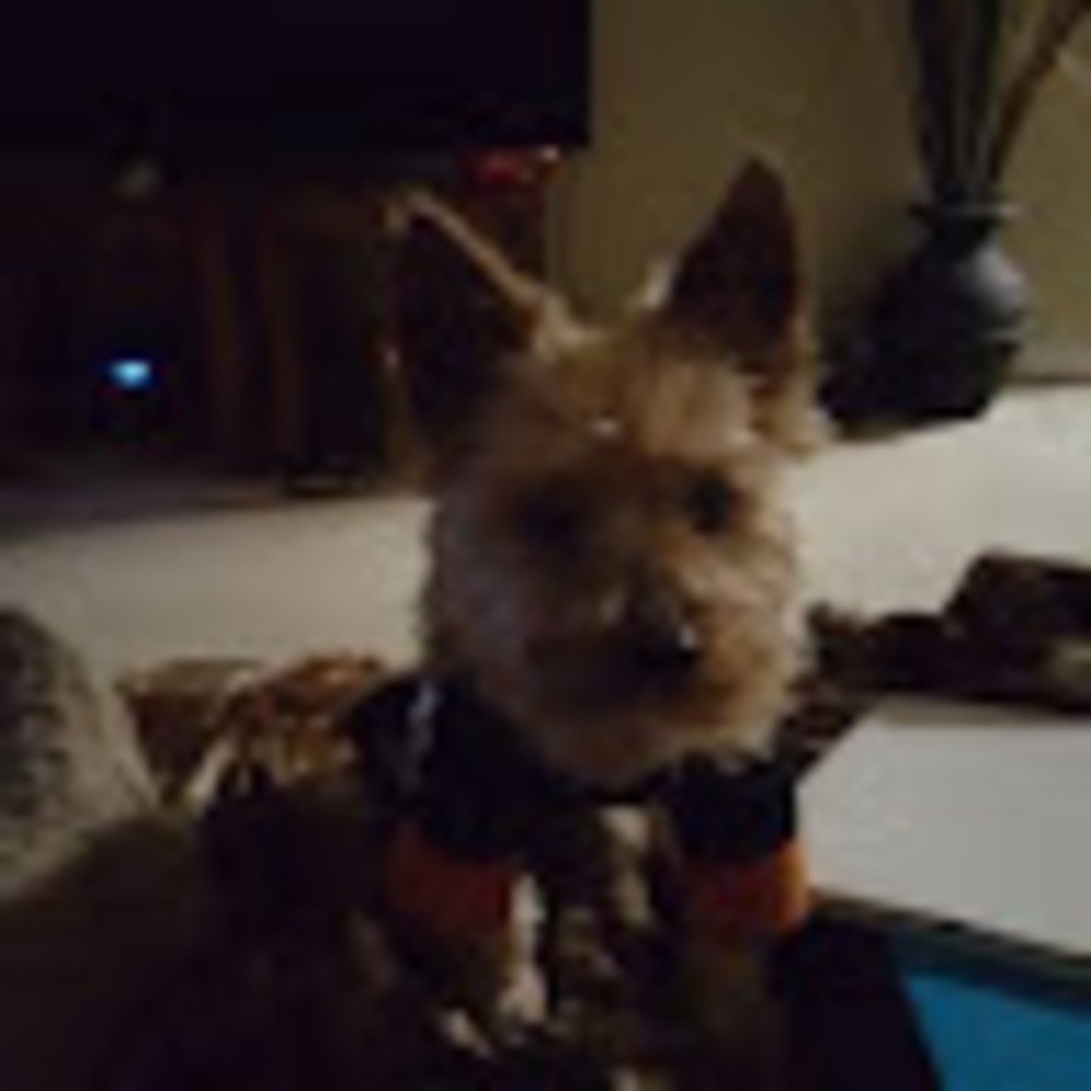 Meet your Posher, Mic